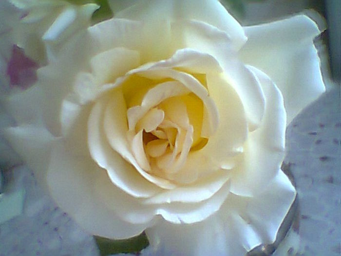 Fotogr.2302