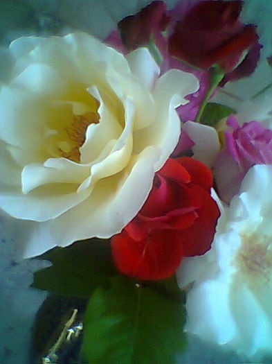 Fotogr.2307