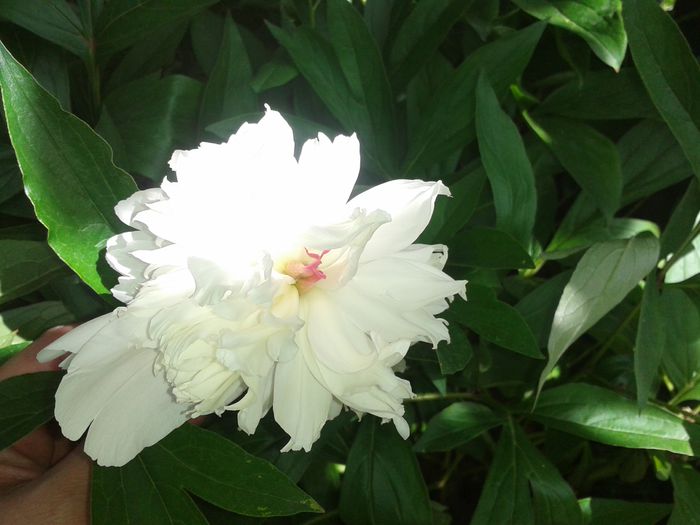 20150524_150034