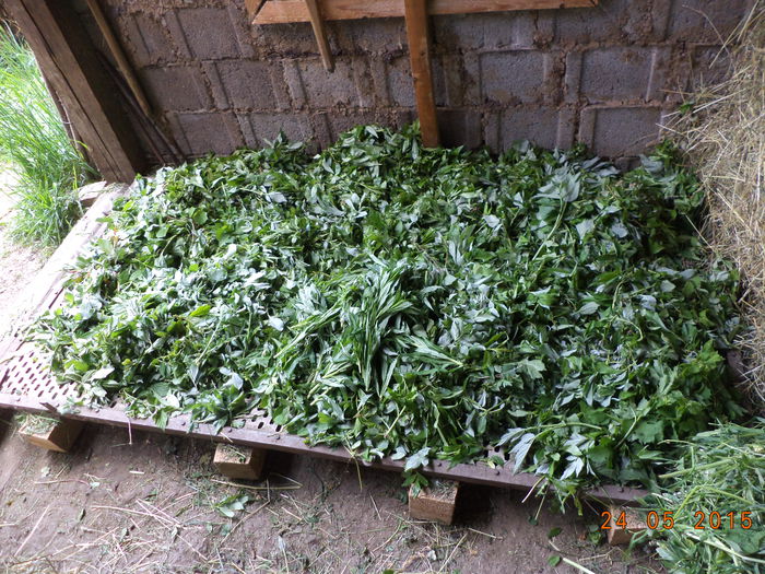 Bunatati pentru capre