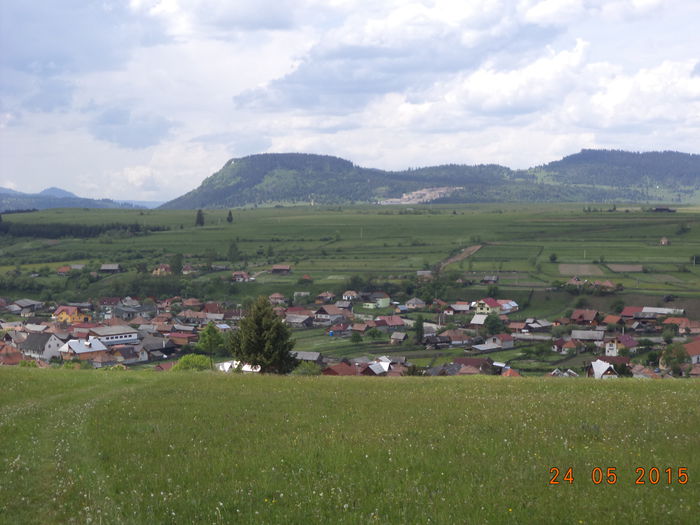 Valea Toplitei si Vf.Tarnita - STELUTA si iezisorii ei