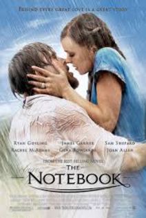 [The notebook]