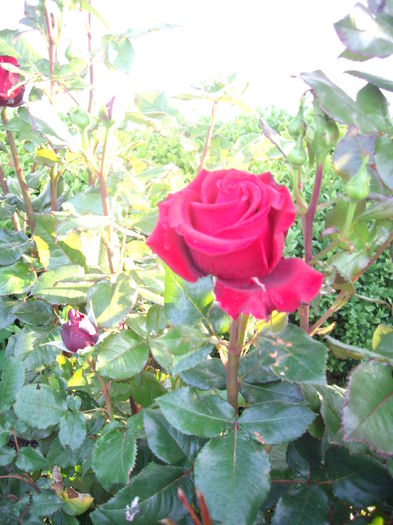 IMGP8057