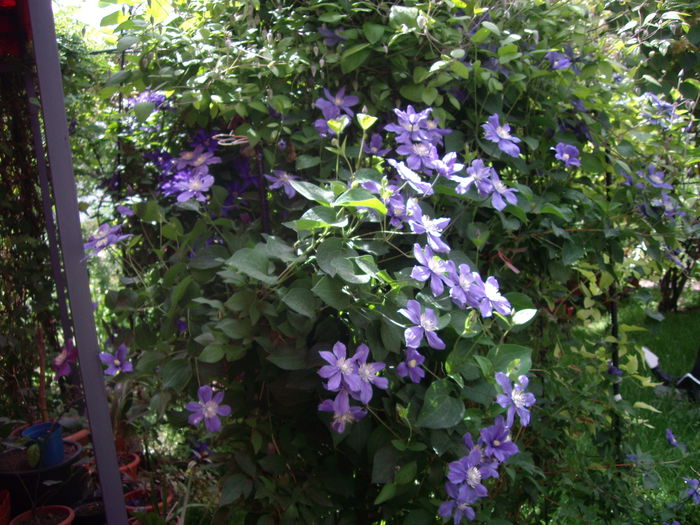 IMGP8291