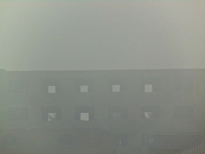 DSC07117 - Poze natura