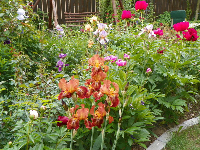 27 mai 087