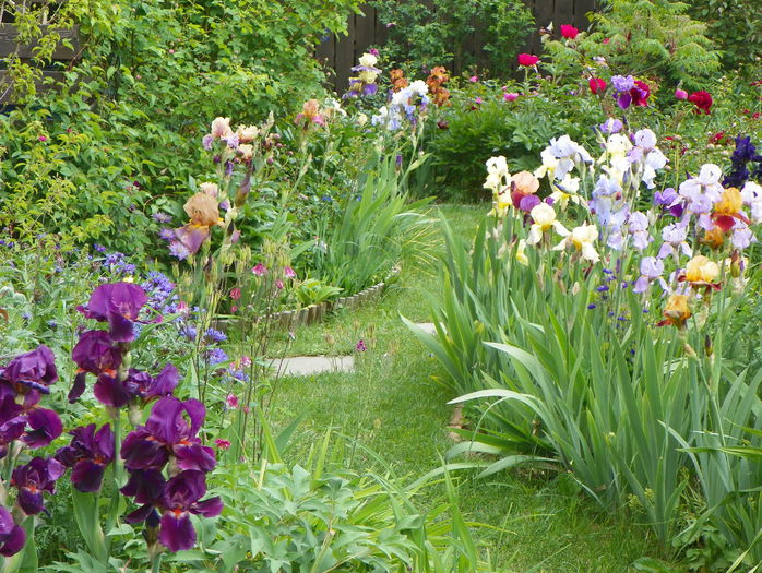 27 mai 094