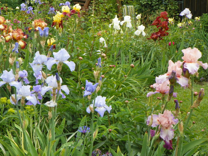 27 mai 095