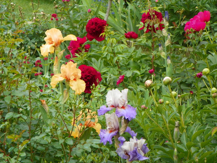 27 mai 127