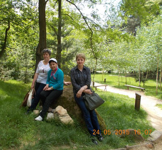 DSCN2313 - PELERINI PRIN TARA FAGARASULUI