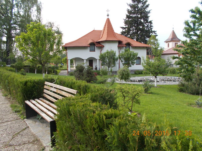 DSCN2354