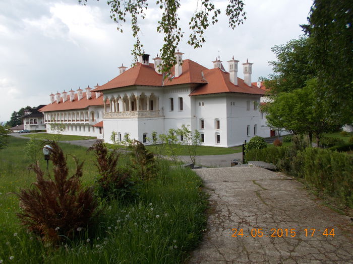 DSCN2367
