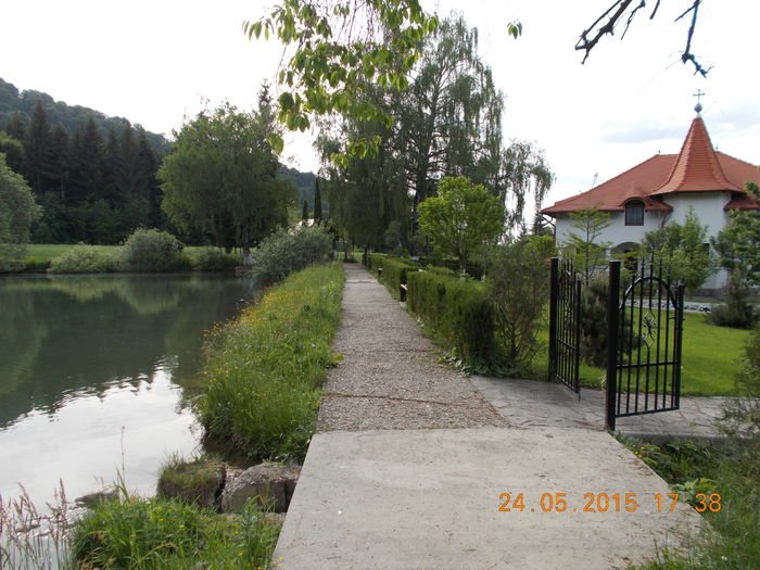 DSCN2351