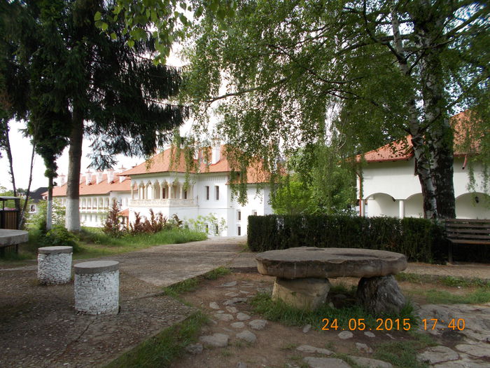 DSCN2361