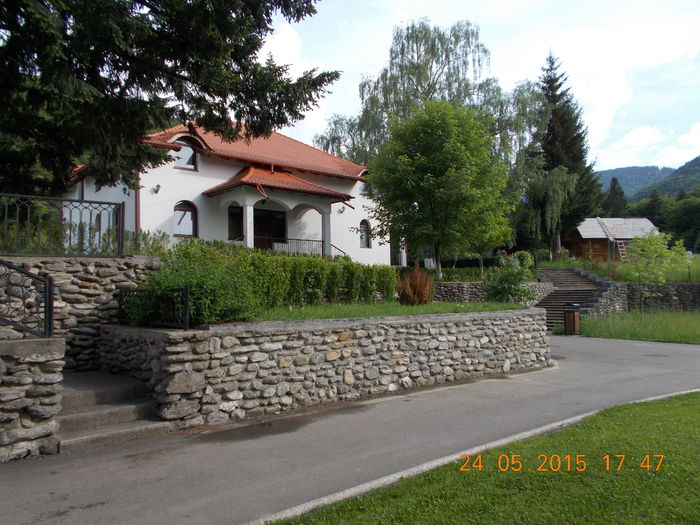 DSCN2378