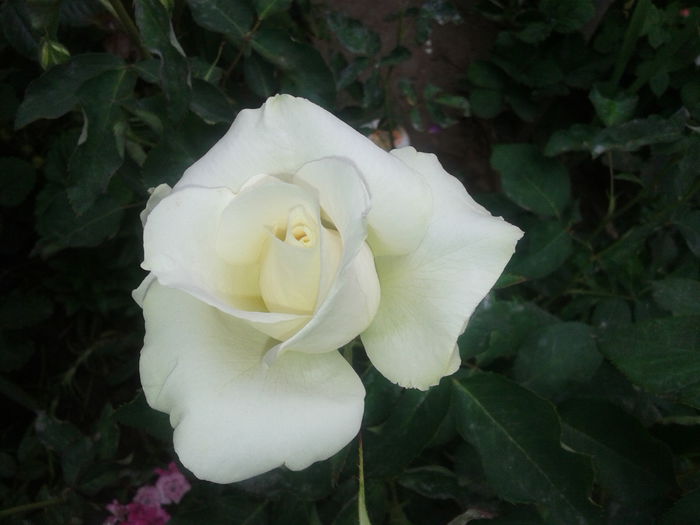 20150528_082850