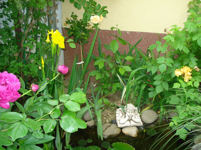 DSC08289 - Gradina 2015