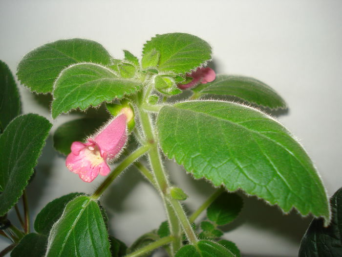 DSC01432