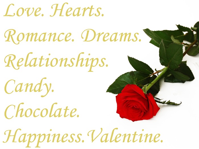 valentijnsdag-wallpaper-rode-roos - Valentine s day