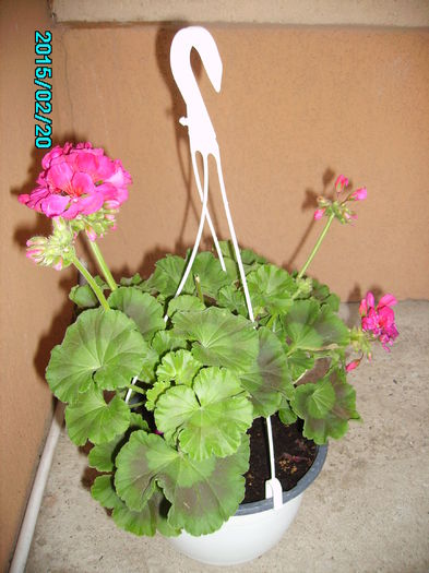 PICT2029