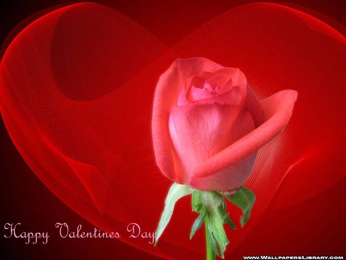 valentines-day-wallpaper-0 - Valentine s day