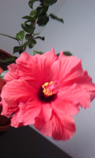 2015-05-28 17.35.26