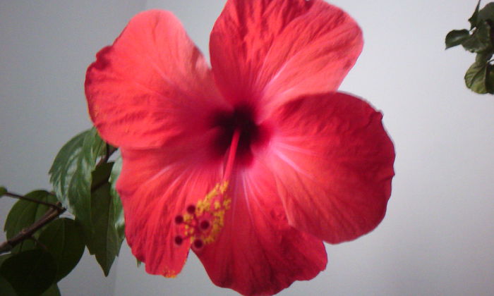 2015-05-28 17.39.30