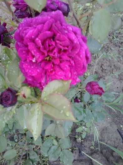 20150527_154542