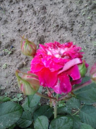 20150527_154924