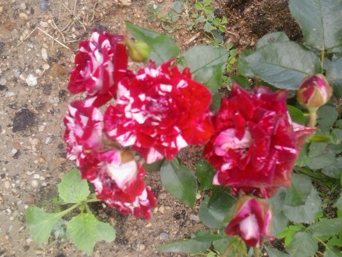 20150527_160748
