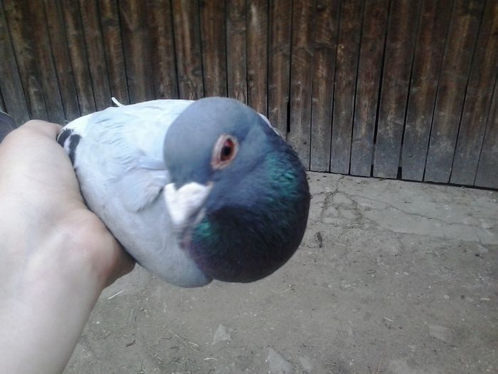 2015-05-08 19.57.39; tot el
