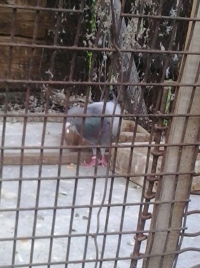 2015-05-08 20.03.57; tot ea
