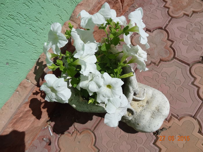 DSC09409