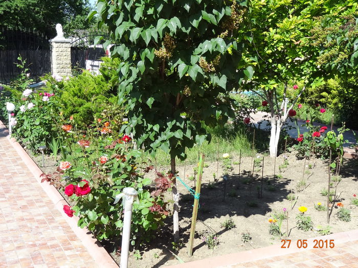 DSC09411