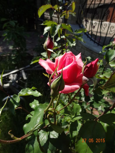 DSC09424