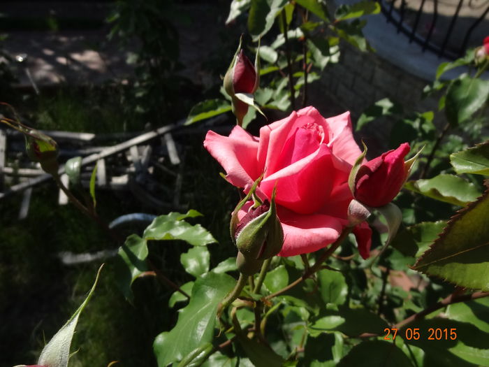 DSC09425