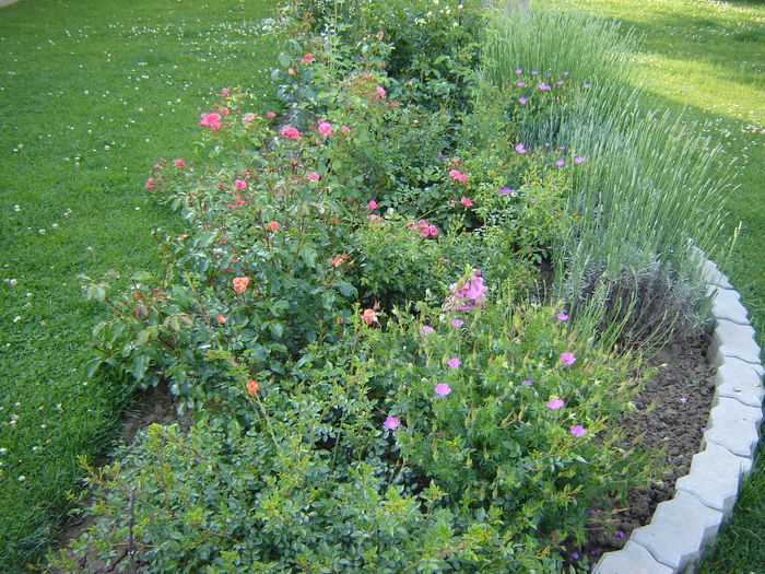 DSC05163