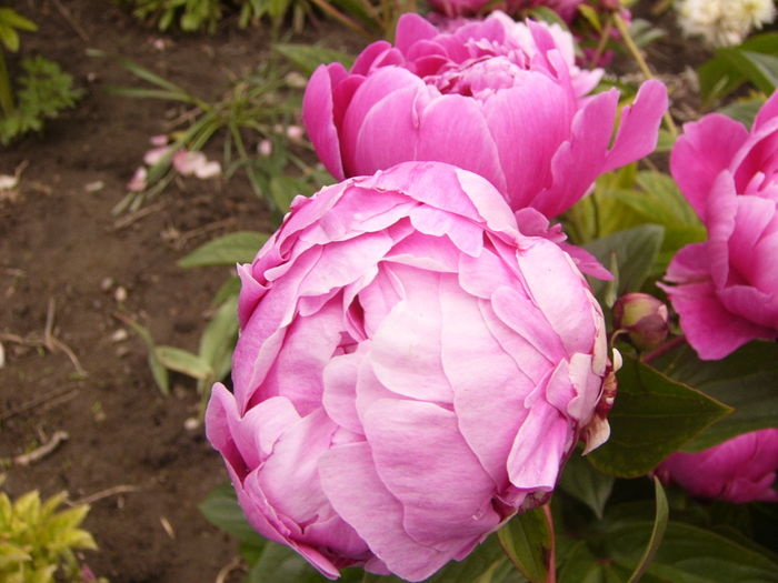 P1240396