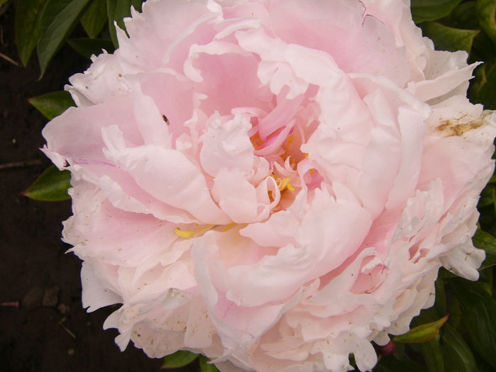 P1240405