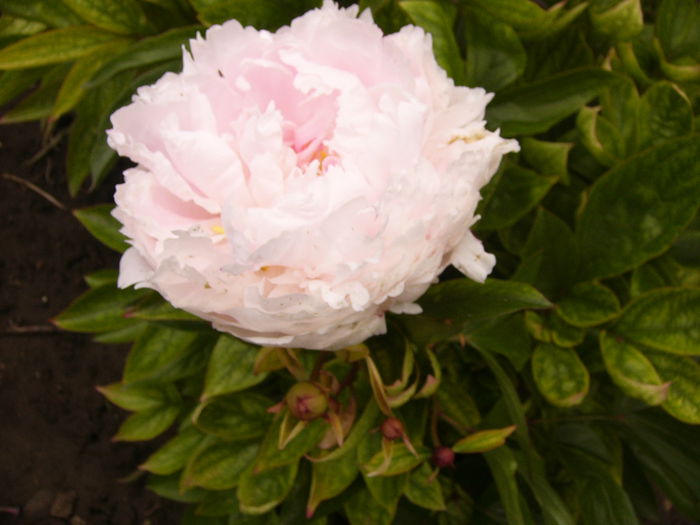 P1240406