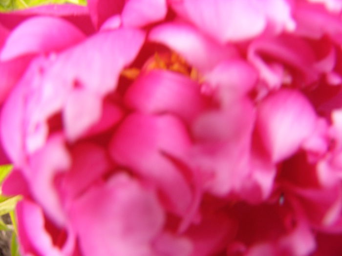 P1240411