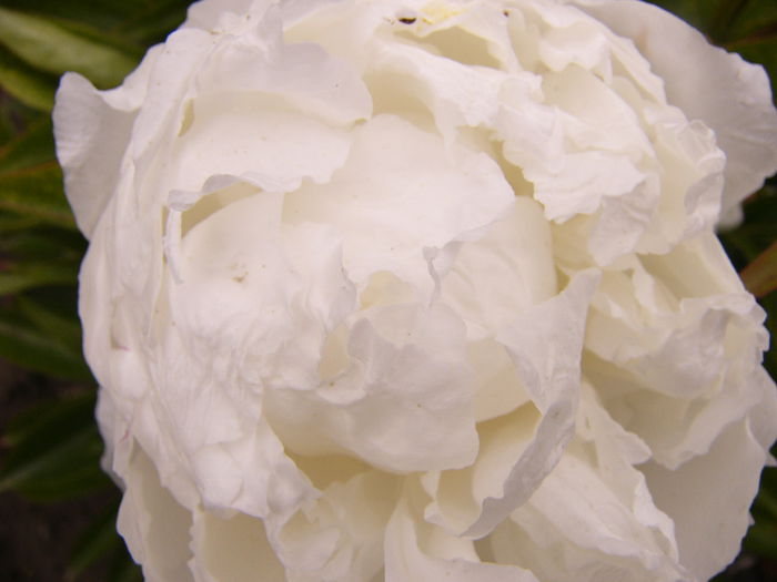 P1240414