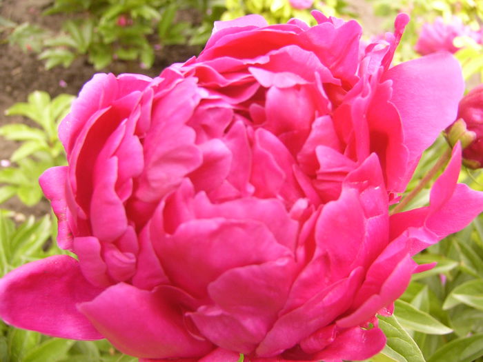 P1240426