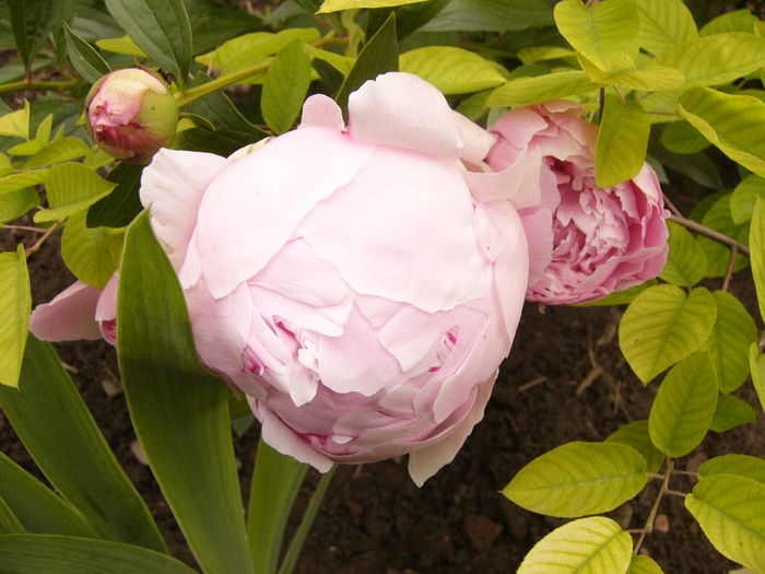 P1240428