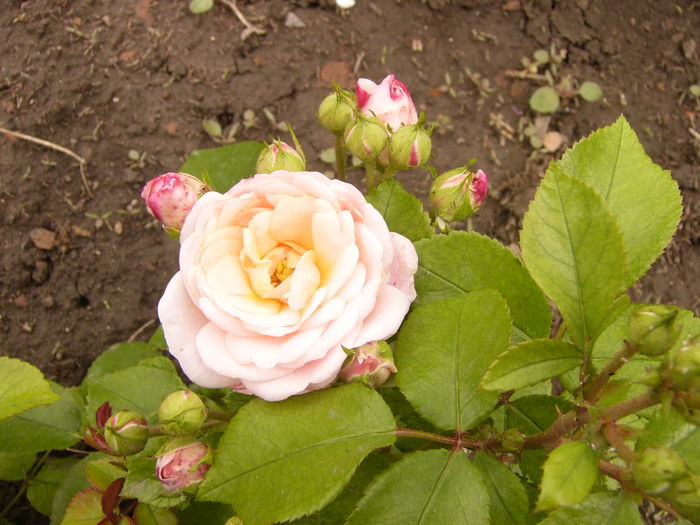 P1240430