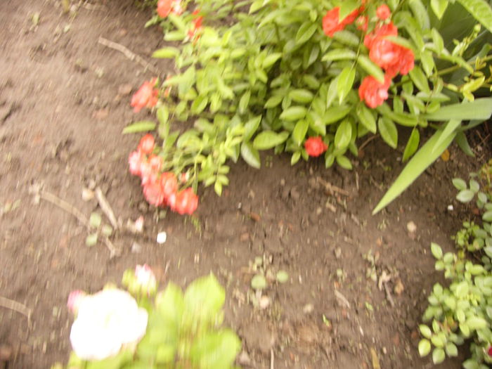 P1240432
