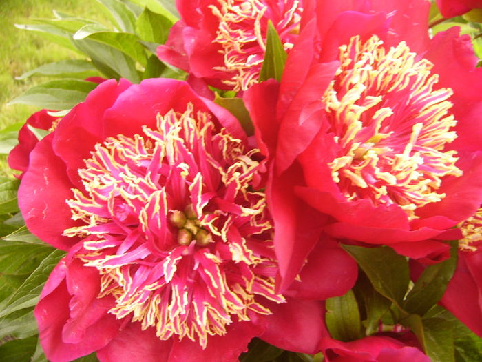 P1240439