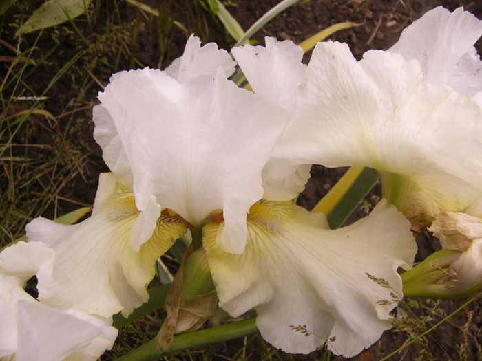 P1240444