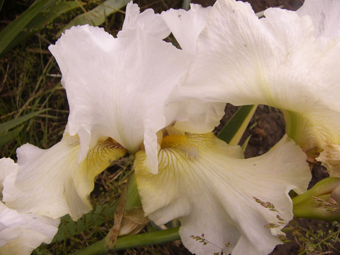 P1240446