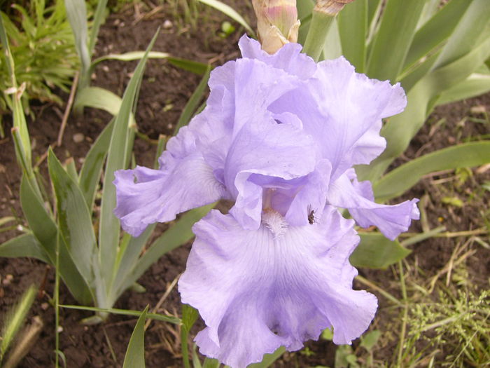 P1240447
